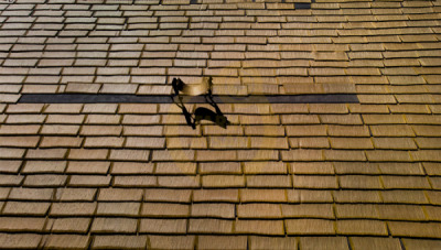 11. TARIM VE İNSAN FOTOĞRAF YARIŞMASI - Ragıp SARI