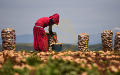 11. TARIM VE İNSAN FOTOĞRAF YARIŞMASI - Tahsin TOPÇU