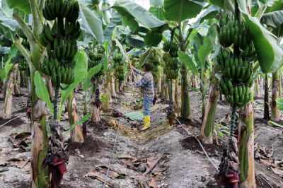 11. TARIM VE İNSAN FOTOĞRAF YARIŞMASI - Tahsin TOPÇU