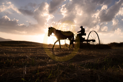 11. TARIM VE İNSAN FOTOĞRAF YARIŞMASI - Tarkın TAŞKIRAN