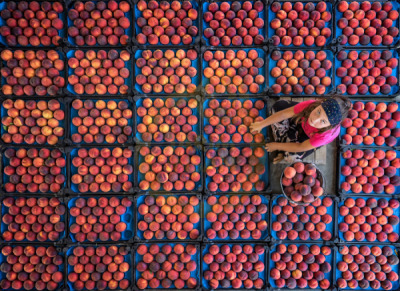 11. TARIM VE İNSAN FOTOĞRAF YARIŞMASI - Ufuk TURPCAN