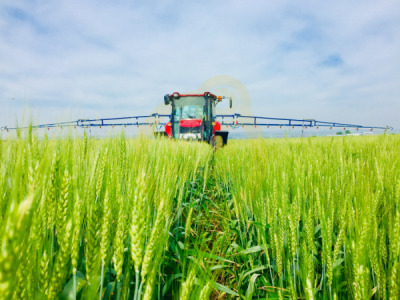 11. TARIM VE İNSAN FOTOĞRAF YARIŞMASI - Ümit ERTAŞ