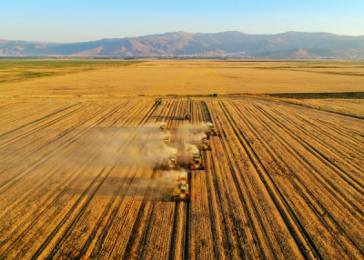 11. TARIM VE İNSAN FOTOĞRAF YARIŞMASI - Yahya SEZGİN