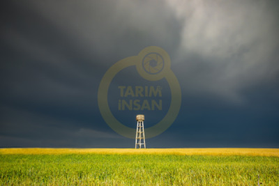 11. TARIM VE İNSAN FOTOĞRAF YARIŞMASI - İsmet Soner YILMAZ