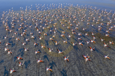 11. TARIM VE İNSAN FOTOĞRAF YARIŞMASI - Ümit ERDEM