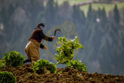 12. TARIM ORMAN VE İNSAN FOTOĞRAF YARIŞMASI - Yüksel YAVUZ