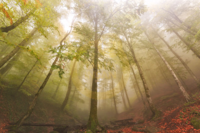 12. TARIM ORMAN VE İNSAN FOTOĞRAF YARIŞMASI - Selçuk HOT