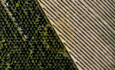 12. TARIM ORMAN VE İNSAN FOTOĞRAF YARIŞMASI - Ragıp SARI