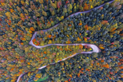 12. TARIM ORMAN VE İNSAN FOTOĞRAF YARIŞMASI - Abdurrahman ÇETİN