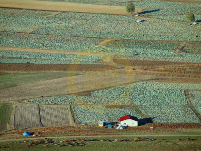 12. TARIM ORMAN VE İNSAN FOTOĞRAF YARIŞMASI - Adem KAPAN
