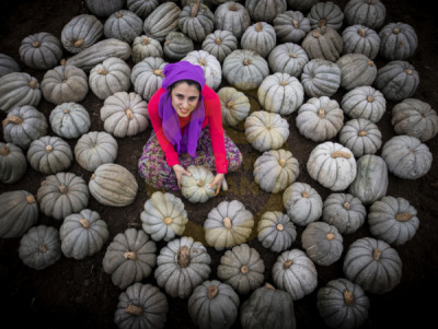 12. TARIM ORMAN VE İNSAN FOTOĞRAF YARIŞMASI - Adem TÜRKEL