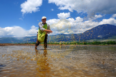 12. TARIM ORMAN VE İNSAN FOTOĞRAF YARIŞMASI - Arif Bayram TERZİOĞLU