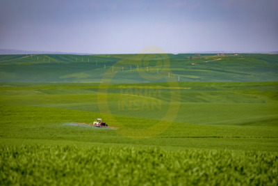12. TARIM ORMAN VE İNSAN FOTOĞRAF YARIŞMASI - Ebubekir BÜRÇÜN