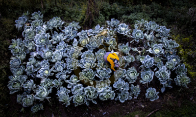12. TARIM ORMAN VE İNSAN FOTOĞRAF YARIŞMASI - Emrullah AKGÜN