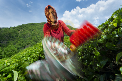 12. TARIM ORMAN VE İNSAN FOTOĞRAF YARIŞMASI - Engin AYYILDIZ