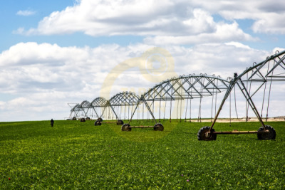 12. TARIM ORMAN VE İNSAN FOTOĞRAF YARIŞMASI - Esengül ALICI