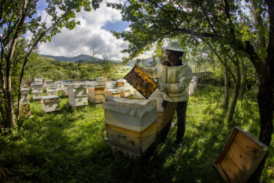 12. TARIM ORMAN VE İNSAN FOTOĞRAF YARIŞMASI - Giray KOCAMAN