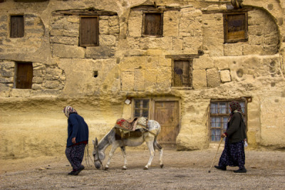 12. TARIM ORMAN VE İNSAN FOTOĞRAF YARIŞMASI - Gülnur TURGUT