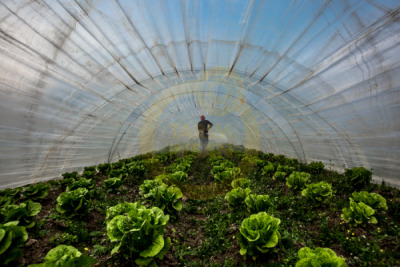 12. TARIM ORMAN VE İNSAN FOTOĞRAF YARIŞMASI - İrfan ÇİMEN