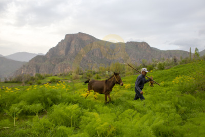 12. TARIM ORMAN VE İNSAN FOTOĞRAF YARIŞMASI - Kenan TALAS