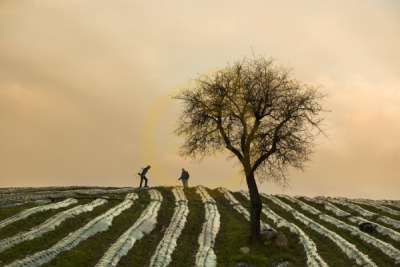 12. TARIM ORMAN VE İNSAN FOTOĞRAF YARIŞMASI - Muhammet ÖZEN