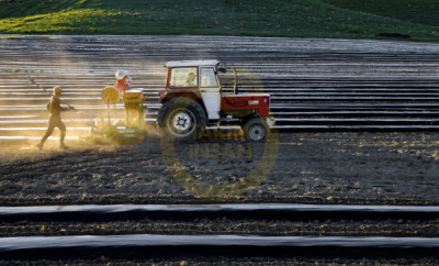 12. TARIM ORMAN VE İNSAN FOTOĞRAF YARIŞMASI - Murat DOĞAN