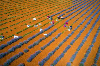 12. TARIM ORMAN VE İNSAN FOTOĞRAF YARIŞMASI - Mustafa BİNOL