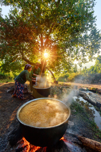 12. TARIM ORMAN VE İNSAN FOTOĞRAF YARIŞMASI - Mustafa GÜMÜŞ