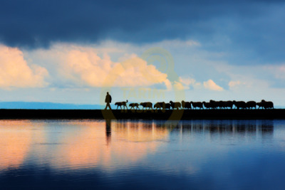12. TARIM ORMAN VE İNSAN FOTOĞRAF YARIŞMASI - Mustafa KILINÇ