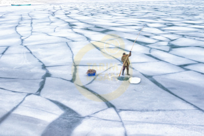 12. TARIM ORMAN VE İNSAN FOTOĞRAF YARIŞMASI - Oğuz İPÇİ