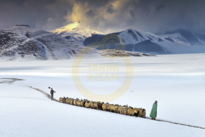 12. TARIM ORMAN VE İNSAN FOTOĞRAF YARIŞMASI - Orhan TANHAN