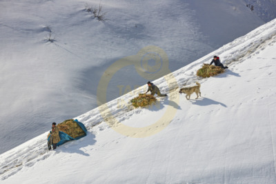 12. TARIM ORMAN VE İNSAN FOTOĞRAF YARIŞMASI - Recep BALKAYA