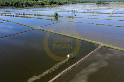 12. TARIM ORMAN VE İNSAN FOTOĞRAF YARIŞMASI - Sami UÇAN