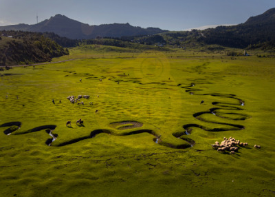 12. TARIM ORMAN VE İNSAN FOTOĞRAF YARIŞMASI - Serkan ÖZKAN