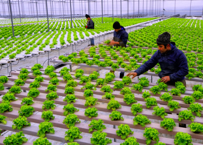 12. TARIM ORMAN VE İNSAN FOTOĞRAF YARIŞMASI - Sezai ÖZALTIN