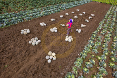 12. TARIM ORMAN VE İNSAN FOTOĞRAF YARIŞMASI - Uğur ÇİMEN
