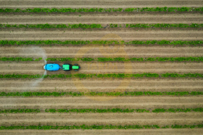 12. TARIM ORMAN VE İNSAN FOTOĞRAF YARIŞMASI - Veli KARIŞAN