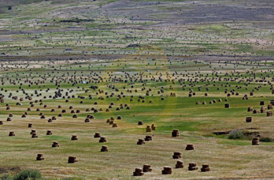 12. TARIM ORMAN VE İNSAN FOTOĞRAF YARIŞMASI - Zehra İLZE