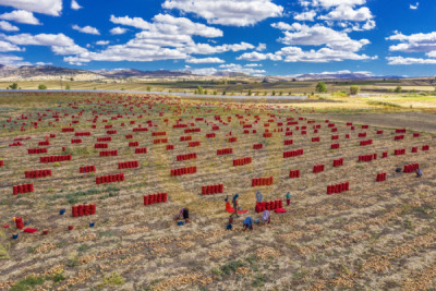 12. TARIM ORMAN VE İNSAN FOTOĞRAF YARIŞMASI - Özgür SEÇMEN