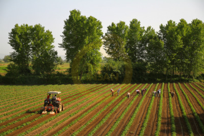 12. TARIM ORMAN VE İNSAN FOTOĞRAF YARIŞMASI - Murat CEYHAN