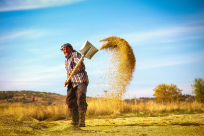 13. TARIM ORMAN VE İNSAN FOTOĞRAF YARIŞMASI - Meral KAYA