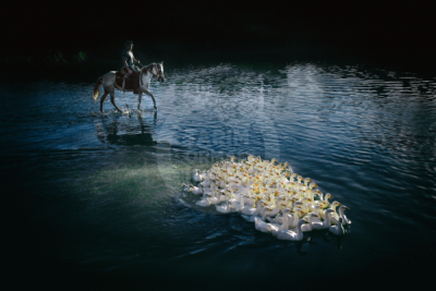 13. TARIM ORMAN VE İNSAN FOTOĞRAF YARIŞMASI - Ahmet Fatih SÖNMEZ