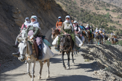 13. TARIM ORMAN VE İNSAN FOTOĞRAF YARIŞMASI - Ali İhsan ÖZTÜRK