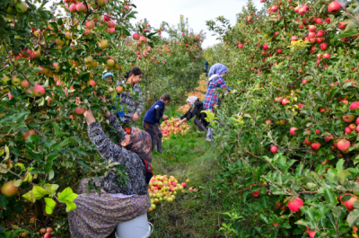 13. TARIM ORMAN VE İNSAN FOTOĞRAF YARIŞMASI - Alişan HAYIRLI