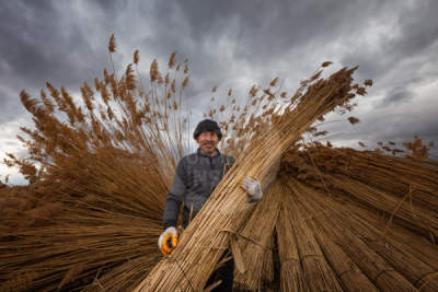 13. TARIM ORMAN VE İNSAN FOTOĞRAF YARIŞMASI - Arzu İBRANOĞLU