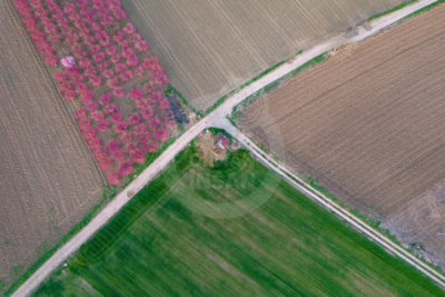 13. TARIM ORMAN VE İNSAN FOTOĞRAF YARIŞMASI - Arzu İBRANOĞLU