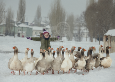 13. TARIM ORMAN VE İNSAN FOTOĞRAF YARIŞMASI - Aygül HARMANCI
