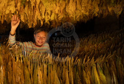 13. TARIM ORMAN VE İNSAN FOTOĞRAF YARIŞMASI - Ayhan MARAŞLI