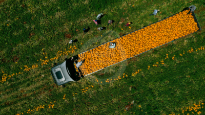 13. TARIM ORMAN VE İNSAN FOTOĞRAF YARIŞMASI - Beytullah ELES