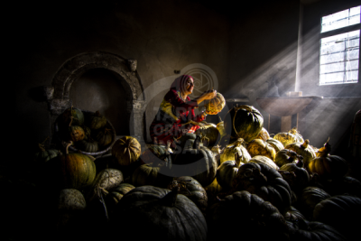 13. TARIM ORMAN VE İNSAN FOTOĞRAF YARIŞMASI - Cemal SİYAH